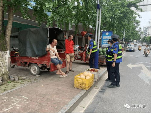 桂林這里搞得好啊 開(kāi)放水果售賣便民點(diǎn) 縣城管局 安置點(diǎn) 網(wǎng)易訂閱