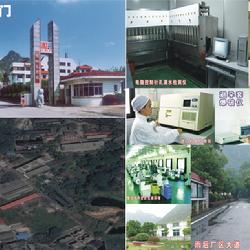 桂林乳膠廠的成立背景